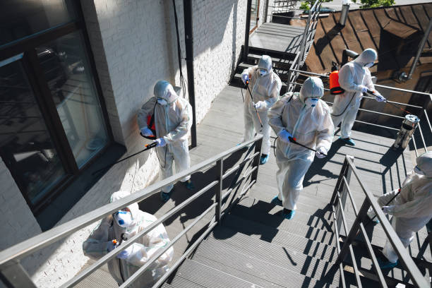 Best Real Estate Mold Inspection  in Clearwater, FL