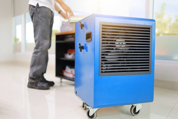 Best Mold Removal for HVAC Installations  in Clearwater, FL